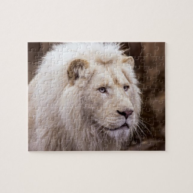 Puzzle White Lion Photo (Horizontal)