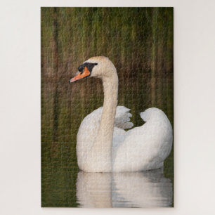 Puzzle White Swan (cygne blanche)