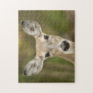 Puzzle White Tailed