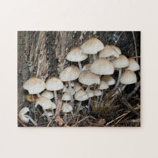 Puzzle White Wild Mushroom Cluster Nature 
