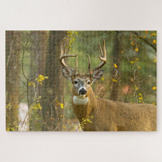 Puzzle Whitetail Deer Buck | Whitefish, Montana (Horizontal)