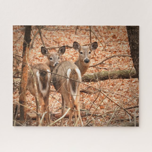 Puzzle Whitetail Doe et sa Faune dans les bois d'automne (Horizontal)