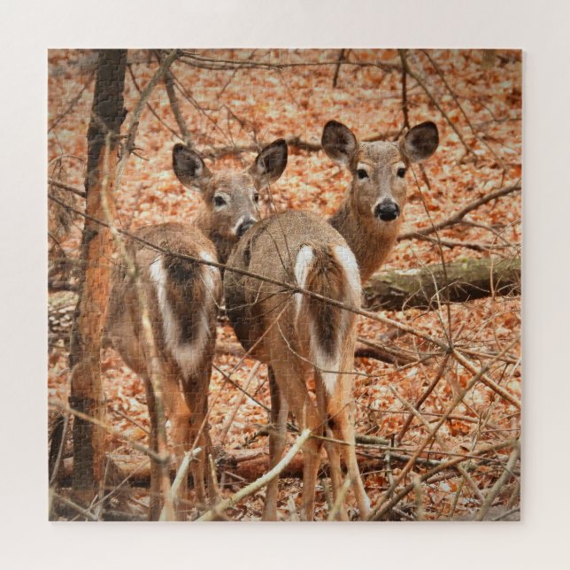 Puzzle Whitetail Doe et sa Faune dans les bois d'automne (Horizontal)