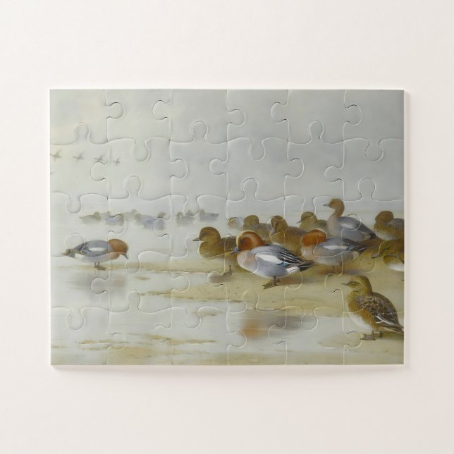 Puzzle Wigeon et Turquoise au bord de l'eau, Art (Horizontal)