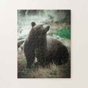Puzzle Wild Brown Grizzly Oear Forêt Nature Vue