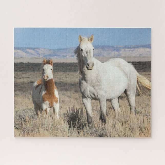 Puzzle Wild Horses at Home in the Sandwash Basin (Horizontal)