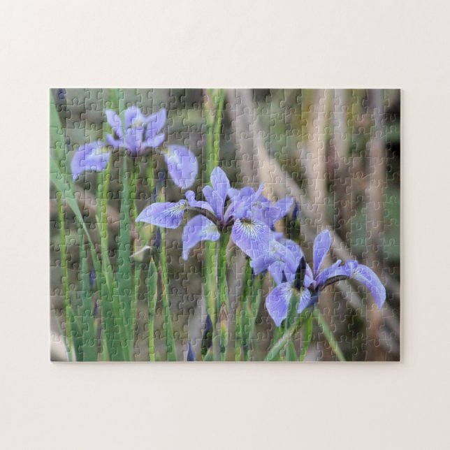 Puzzle Wild Iris (Horizontal)