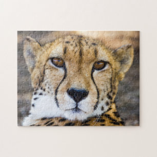 Puzzle Wildcat Cheetah Leopard Nature sauvage