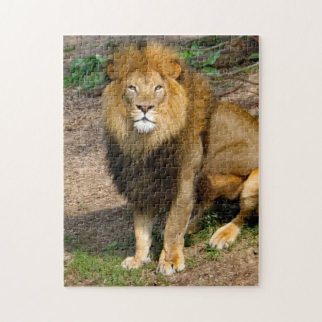 Puzzle Wildlife African Lion Sitting Photo (Vertical)
