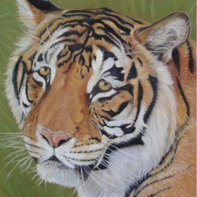 Puzzle wildlife painting of tiger with sad eyes big cat (Créateur téléchargé)