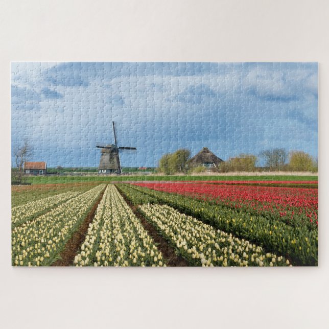 Puzzle Windmill and tulips landscape in Holland (Horizontal)