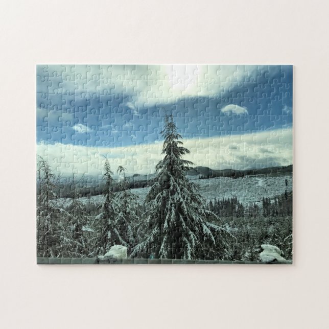Puzzle Winter dans la Tillamook State Forest, Oregon (Horizontal)
