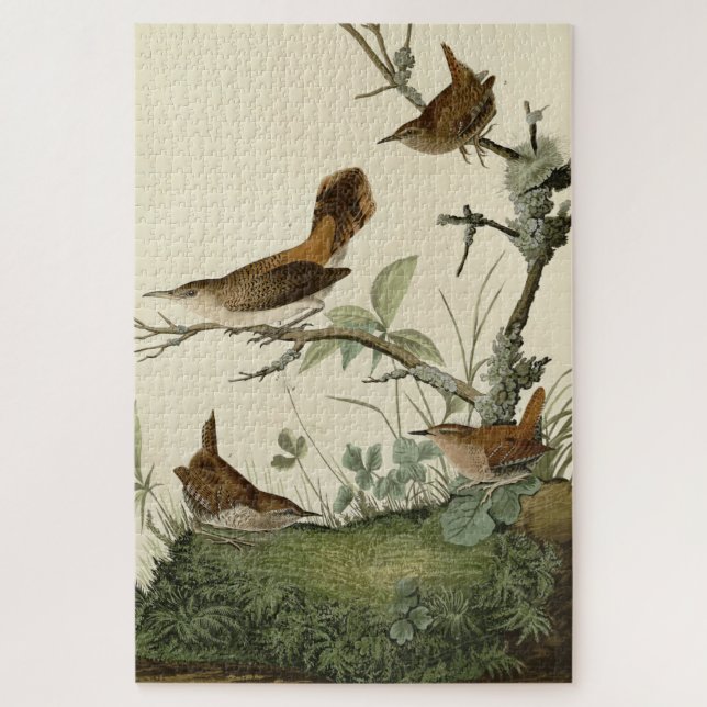 Puzzle Winter Wren, Rock Wren, Audubon's Birds of America (Vertical)