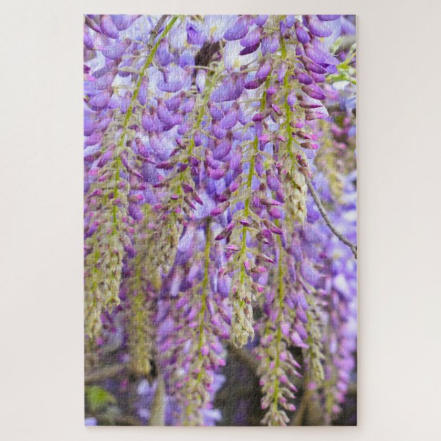 Puzzle Wisteria Violet Floral Blossom Tree Violet (Vertical)