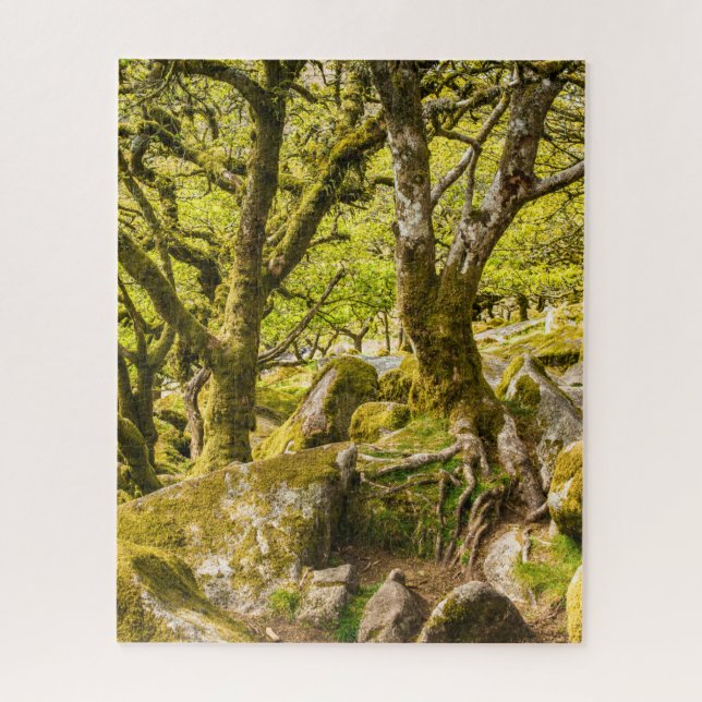 Puzzle Wistman's Wood Dartmoor Devon Angleterre UK (Vertical)