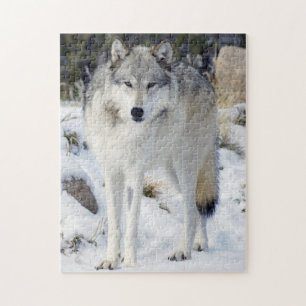 Puzzle Wolf 11" x 14" 252 Pièce Avec Boîte Cadeau