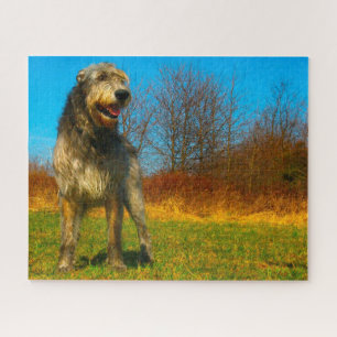 Puzzle Wolfhound irlandais.