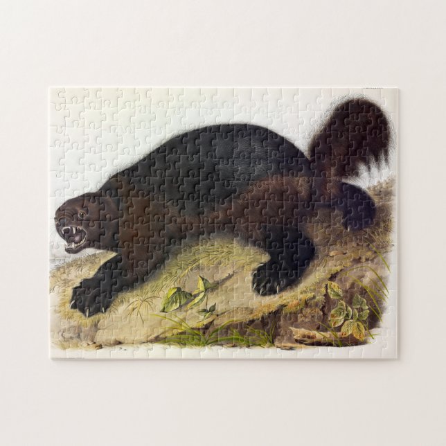 Puzzle Wolverine ou Wolverene (Gulo gulo) par Audubon (Horizontal)