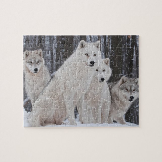 Puzzle Wolves Game (Horizontal)