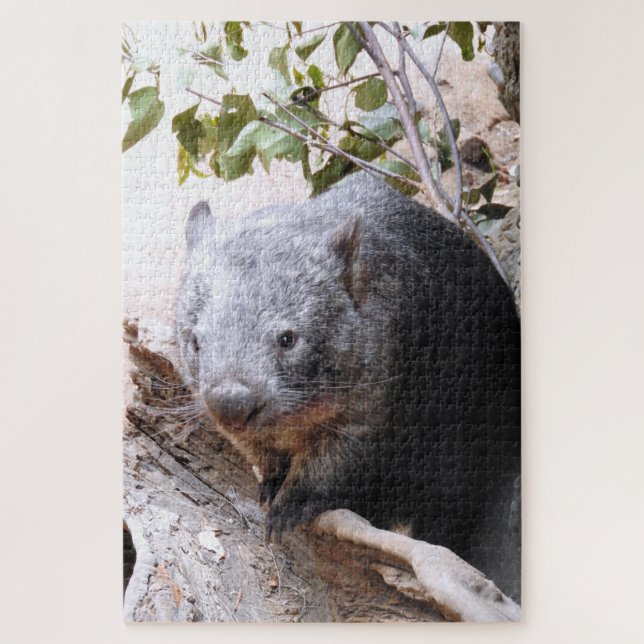 Puzzle Wombat (Vertical)
