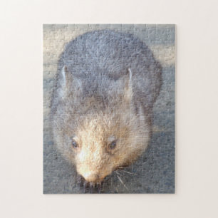 Puzzle Wombat