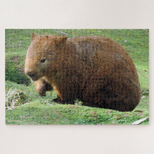 Puzzle wombat australien