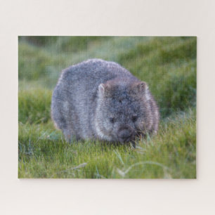 Puzzle Wombat Extraordinaire dans l'Australie de l'Herbe,