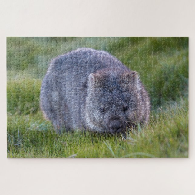 Puzzle Wombat Extraordinaire dans l'Herbe Australie, 1014 (Horizontal)