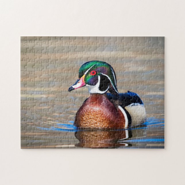 Puzzle Wood Duck in a pond (Horizontal)