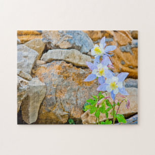 Puzzle Wyoming, parc national de Grand Teton 1