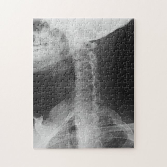 Puzzle X-Rayed 2 (Original) (Vertical)