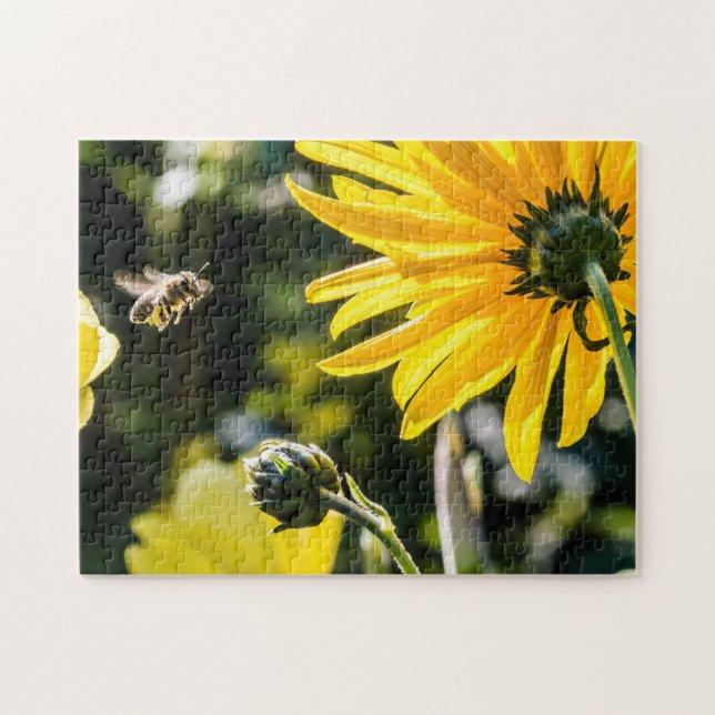 Puzzle Yellow Hardy Sunflower Meilleures photos de tourne (Horizontal)