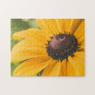 Puzzle Yellow Hardy Sunflower Meilleures photos de tourne