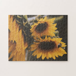 Puzzle Yellow Hardy Sunflower Meilleures photos de tourne