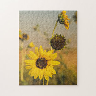 Puzzle Yellow Hardy Sunflower Meilleures photos de tourne