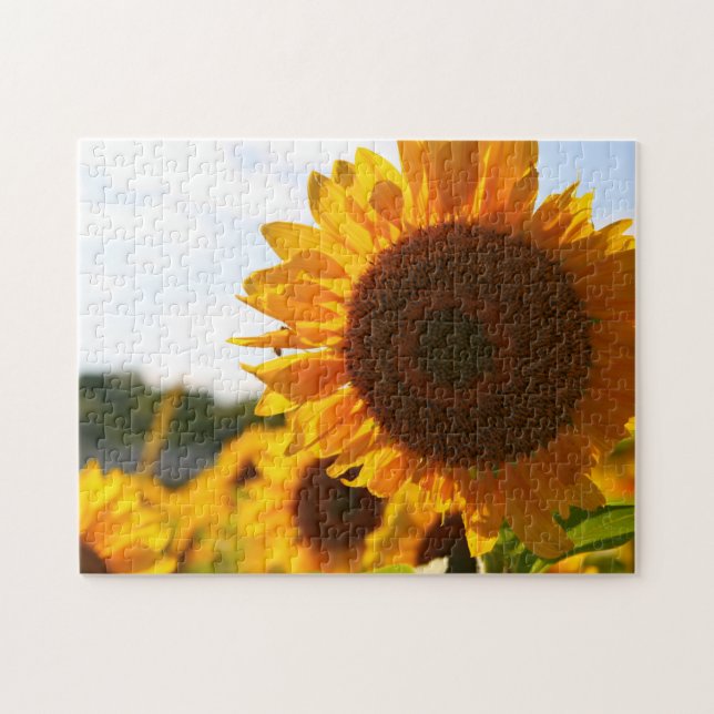 Puzzle Yellow Hardy Sunflower Meilleures photos de tourne (Horizontal)