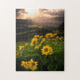 Puzzle Yellow Hardy Sunflower Meilleures photos de tourne