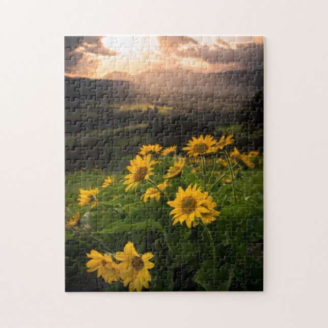 Puzzle Yellow Hardy Sunflower Meilleures photos de tourne (Vertical)