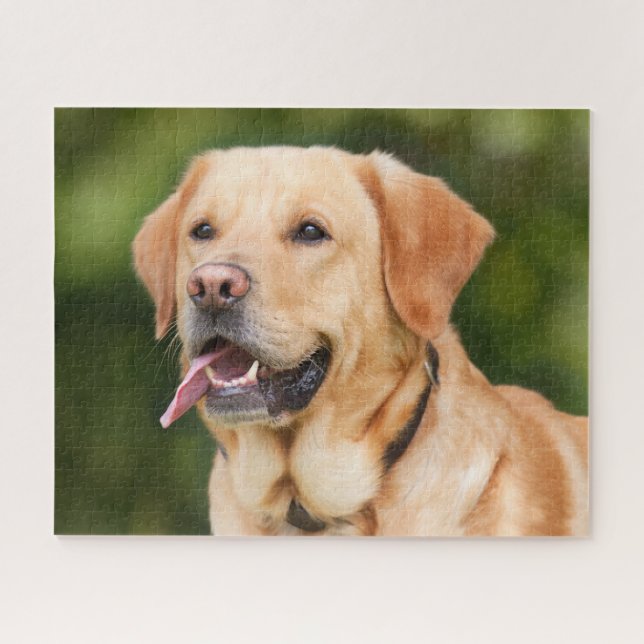 Puzzle Yellow Labrador Retriever Dog - Lab (Horizontal)