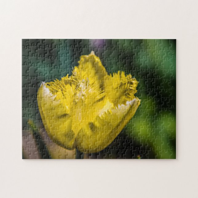 Puzzle Yellow Tulip (Horizontal)