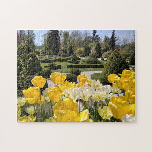 Puzzle Yellow Tulips from Arboretum Volcji Potok Slovenia (Horizontal)