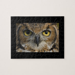 Puzzle Yeux de hibou