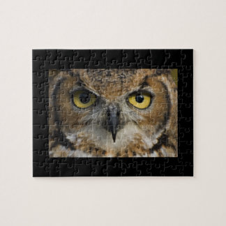 Puzzle Yeux de hibou