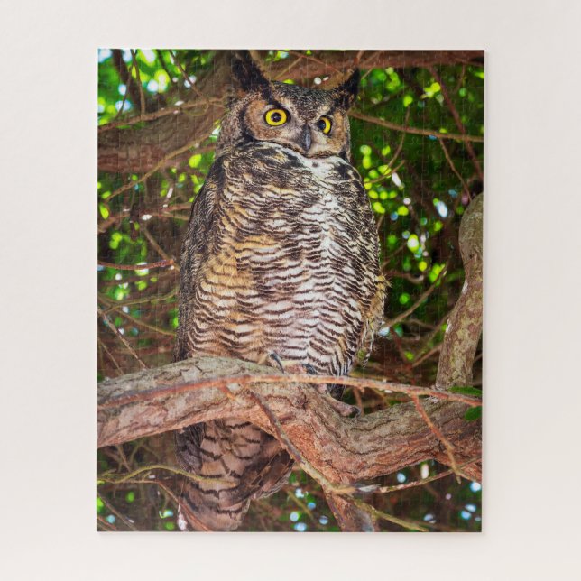 Puzzle Yeux de la Nuit : Grand-duc d'Amérique (Vertical)
