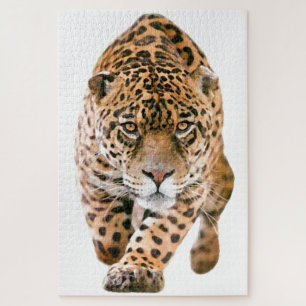 Puzzle Yeux Jaguar spéciaux exclusifs