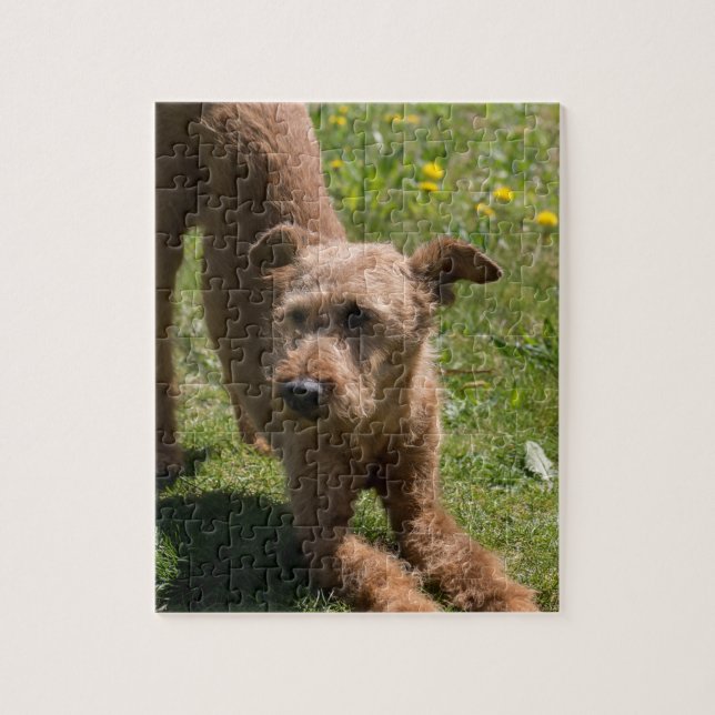 Puzzle Yoga de Terrier irlandais (Vertical)
