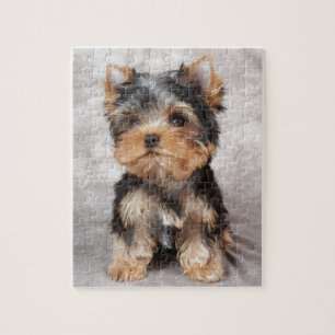 Puzzle Yorkie merveilleux