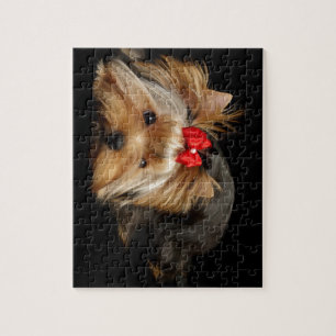 Puzzle Yorkie mignon