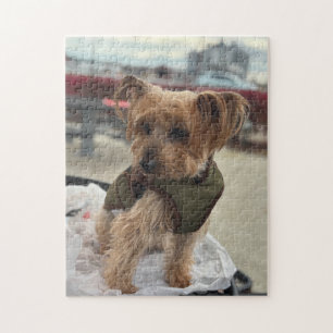 Puzzle Yorkie / Westie mignon au Moulin à Cidre