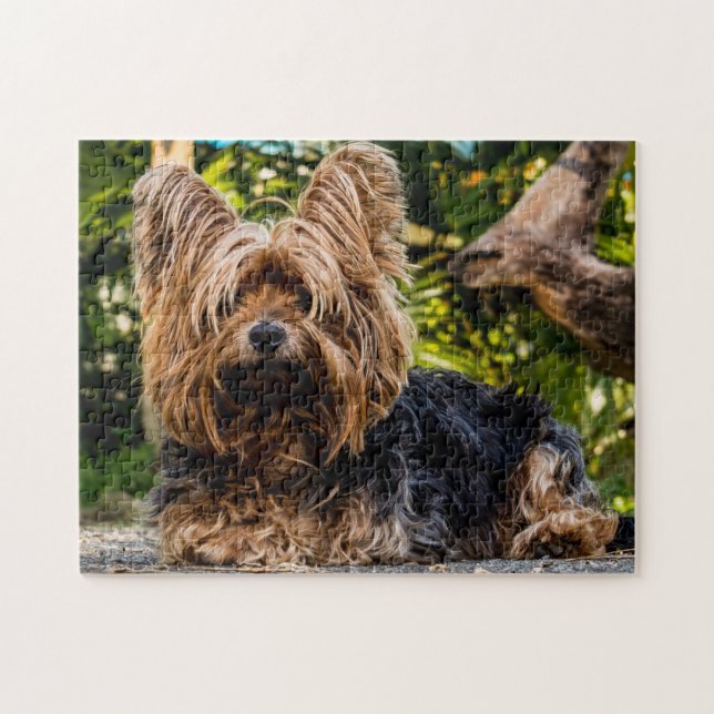 Puzzle Yorkie Yorkshire Terrier Chien (Horizontal)